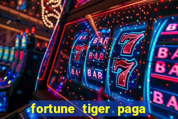 fortune tiger paga de madrugada